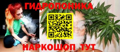эйфоретик Канаш