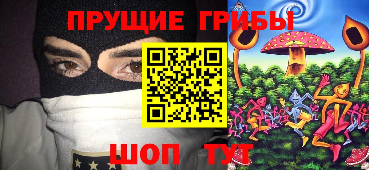 Псилоцибиновые грибы MAGIC MUSHROOMS Нальчик