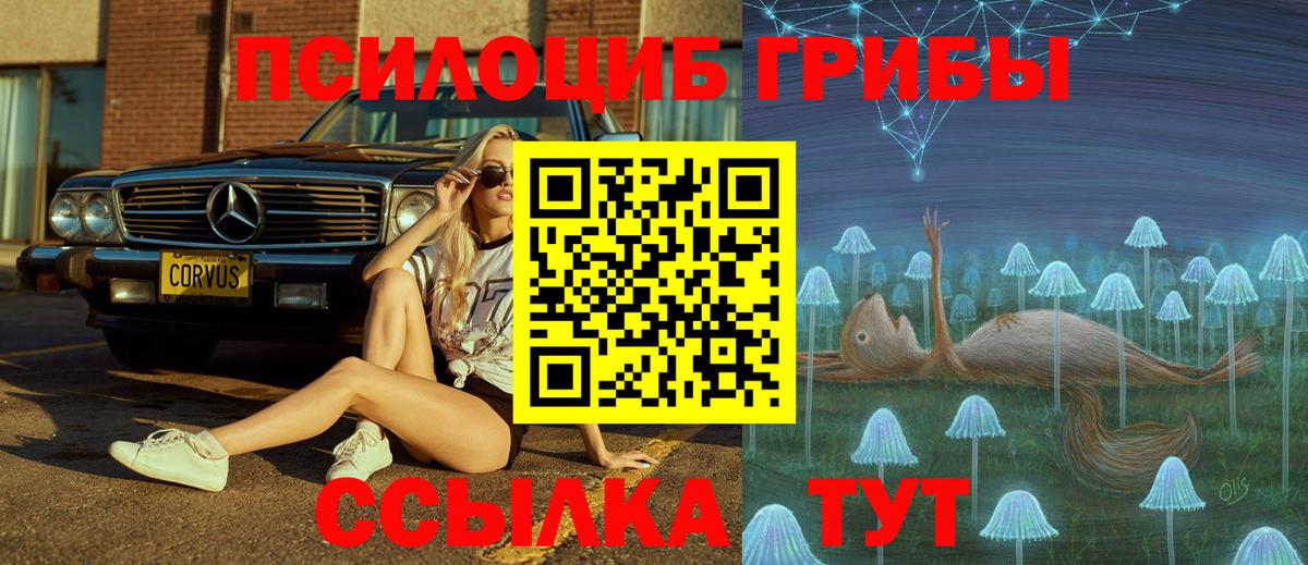Псилоцибиновые грибы Magic Shrooms  Галлюциногенные грибы Cubensis  Нальчик  Вход с VPN 